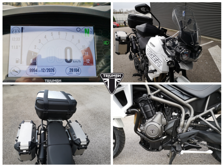 TRIUMPH TIGER 800 XRX